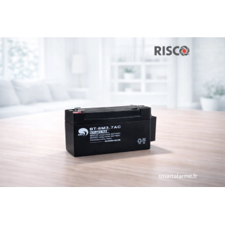 Batterie Risco 1BT3031 6V 3.7Ah pour alarme – Batterie centrale alarme