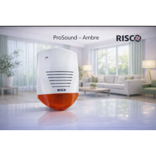 https://smartalarme.- Sirènes ProSound Ambre | Alertes Sonores