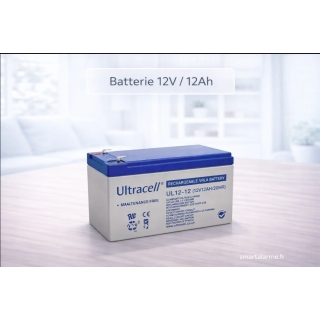 Batterie 12V 12Ah plomb étanche – forte capacité – Smartalarme.fr