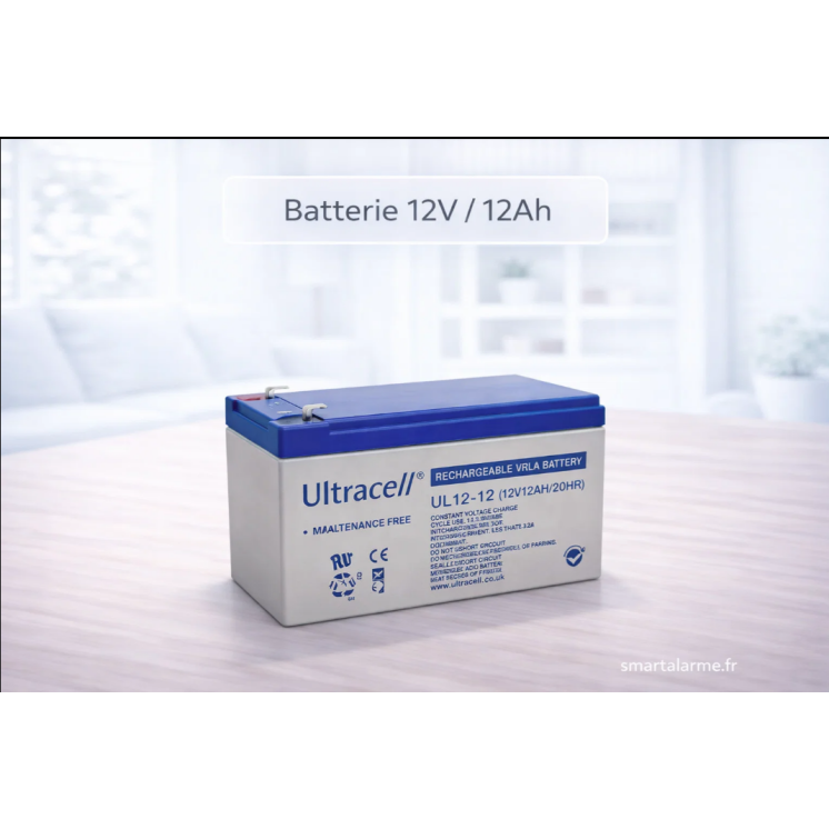 Batterie 12V 12Ah plomb étanche – forte capacité – Smartalarme.fr